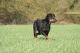 BEAUCERON 1016